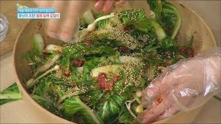 [Happyday] Representative of spring greens 대표 봄나물 달래와 봄동의 조화! [기분 좋은 날] 20160318