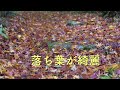 紅葉を求めて 山中渓谷