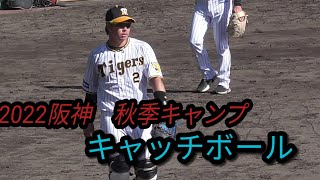 【プロ野球】　阪神タイガース　秋季キャンプ2022　『キャッチボール』