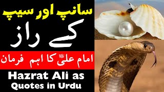 Hazrat Ali as Quotes in urdu | امام علی علیہ السلام کے اقوال | Mehrban Ali