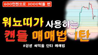 코인 단타매매 잘하는 법 (워뇨띠 캔들 매매 #1)