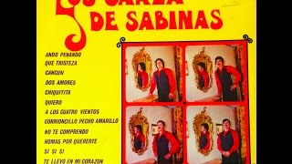 Ando Penando - Los Garza de Sabinas