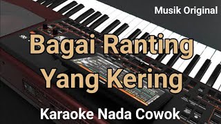 karaoke bagai ranting yang kering nada cowok