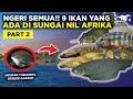 NGERI SEMUA!! 9 IKAN YANG ADA DI SUNGAI NIL AFRIKA (PART 2)