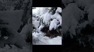 Survival Skills Unleashed Man Ignites Fire in Snowy Wilderness ! 🔥❄︎🎄 #camping #survival #camping