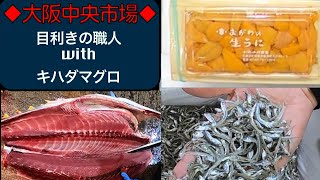 【中央市場】マグロ専門仲卸　目利きの職人がキハダマグロをおろす日常の風景