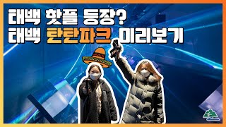 [랜선여행] 태백 새로운 인기 장소 두두둥장 탄탄파크 (feat. 사랑이 다른 사랑으로 잊혀지네 가수 하림과 함께) | #탄탄파크 | #태백여행 | 데이트코스추천 | 브이로그