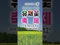 예쁘다고 한눈팔지 말자 구리 유채꽃 축제