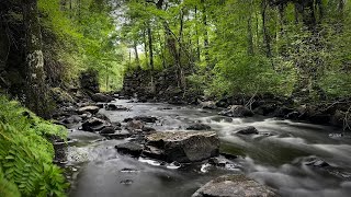 10 Hours of Relaxing River Sounds for Sleep and Relaxation | Calming Nature Ambience