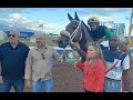 JAMAICA RACING: Supremasi Sheds Maiden Tag - Sat, May 25, 2024, 7th