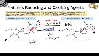 Reducing and Oxidizing Agents in Nature