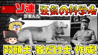 【ゆっくり解説】ソ連が生んだ「狂気の科学者」　双頭犬や生首犬などの残酷な動物実験　【ゆっくり歴史解説】