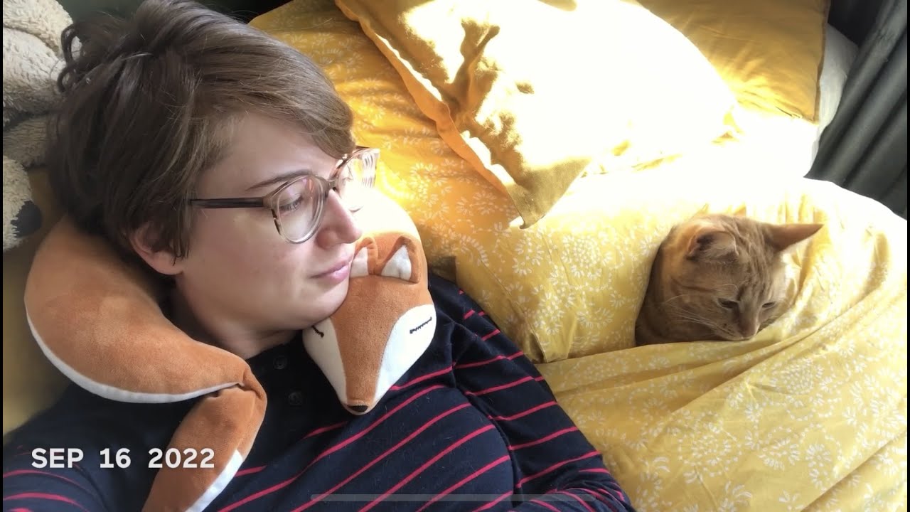 1 Second Everyday 2022 Youtube