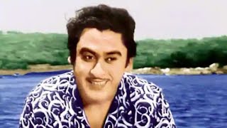 Tere Jaisa Yaar Kahan || Yaarana (1981) || Kishore Kumar || Amitabh Bachchan || Lalit Kumar || Cover