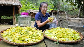 Process of processing and preserving sour star fruit - Harvesting cucumbers for sale - Ly Thi Tam