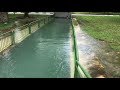 Canal overflowing at East Coast Park