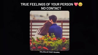 🥰😍True feelings for your person..No contact.. Malayalam