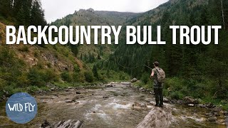 120 HOURS IN BULL TROUT COUNTRY (quest to find the elusive bull trout)