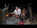 solo girl camping in the mountains with my dog sophia adventures