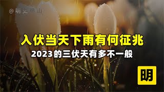 三伏下雨好不好？入伏当天下雨有何征兆？2023的三伏天不一般！【明史观山】