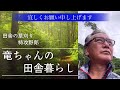 ２１８. ３０cmロングパイプ.の草刈機　新ダイワＲＭ３０３２、３０.５ccで草刈り　 草刈り @竜ちゃんの田舎暮らしtv