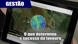 Saiba como melhorar a produtividade com plataforma de gestão