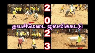 2023.தவசிமேடை ஜல்லிக்கட்டு/thavasimedai jallikattu