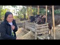 a day at khongjom vlog manipur vlog khongjom da koiba chat lure