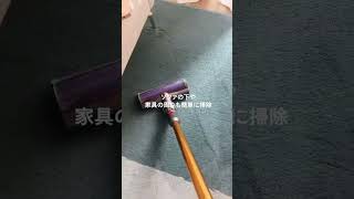 そのラグやカーペットにゴミが隠れているかも、、❓　#光るダイソン #光る掃除機 #dyson #ダイソン #掃除機 #掃除 #カーペット掃除 #ラグ掃除 #ダイソン掃除機 #掃除革命 #家電革命