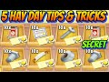 5 Hay Day Tips & Tricks that you should know in 2024