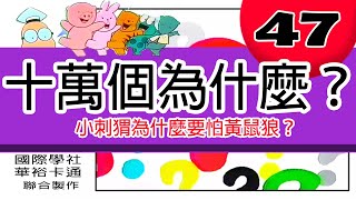 【十萬個為什麼】問題47：小刺猬為什麼要怕黃鼠狼？