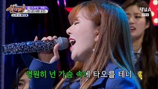 소나무 하이디 천 년의 사랑 (편집ver.)