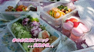 春のお花見ピクニック(花見弁当)Hanami Cherry Blossom Picnic(Hanami Bento)