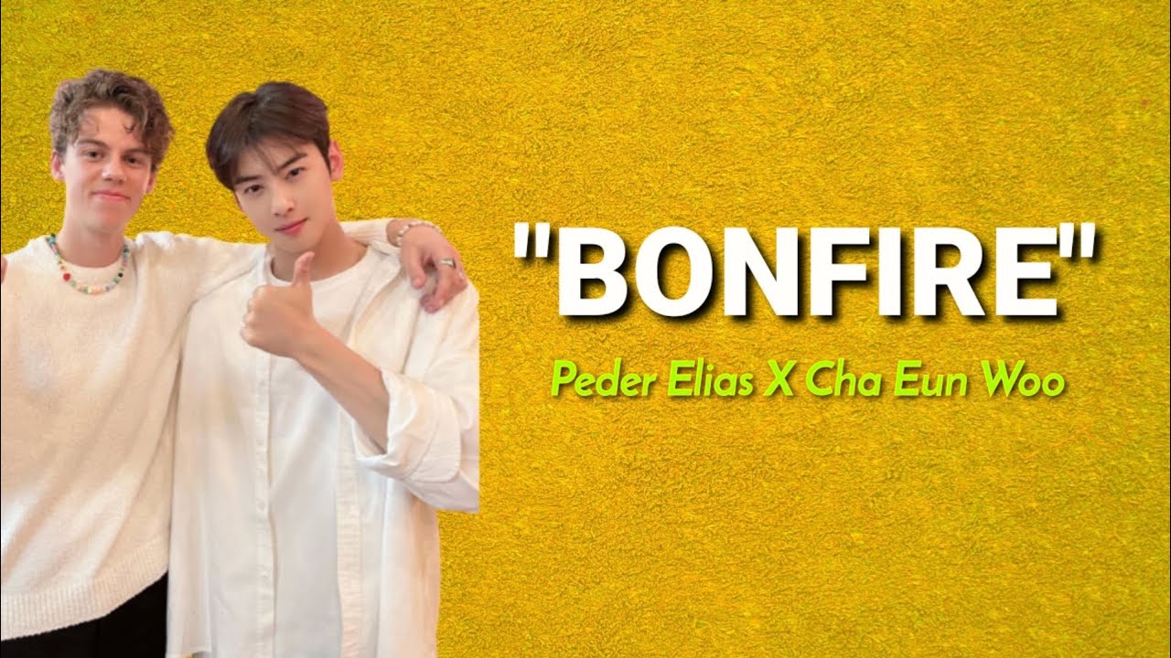 BONFIRE - Peder Elias X Cha Eun Woo | Lyrics & Lirik Video | (aquinaldy ...