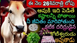 ఈనెల 26 శివరాత్రి లోపు ఆవు కి ఇది పెడితే కష్టాలు అన్నీ పోయి నీ జీవితం మారిపోతుంది