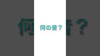 この音何の音か分かるかな？5秒で出来る絶対音感テスト！