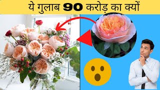 90 करोड़ का गुलाब l 90 crore Juliet rose l#wetellfacts l Intresting Facts 😮🙄