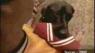 Lycos.com Tv commercial - Soccer