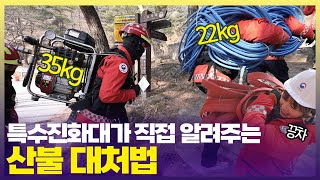 무거운 펌프, 호스 메고 30도 경사의 산을 매일 오르는 특수진화대🚨두 반장이 함께 가 보았다 [6시 내고향] | KBS 250203 방송