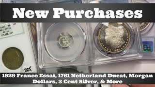 New NGC/ PCGS Purchases - 1929 France Essai, 1761 Netherland Ducat, Morgan Dollars, Silver Trime, +