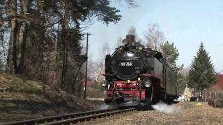 (HD) Ein sonniger Frühlingsnachmittag im Zittauer Gebirge