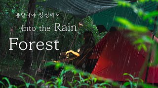 [4K] Into the Rain Forest | 비내리는 숲속  | 숲속캠핑 | 우중캠핑 | camping in the forest | 빗소리 asmr