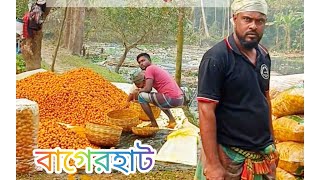 সুপারি মদানোর সেই প্রাচীন পদ্ধতি, বাগেরহাট।