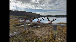 Sitka Blacktail Hunt, Kodiak Alaska 2024