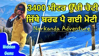 Himachal's Hidden Gems: Narkanda Adventure