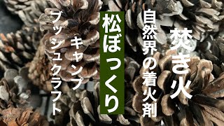 松ぼっくりは焚き火の着火剤になるのかやってみた？