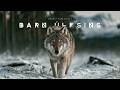 Barn Úlfsins (Child of the Wolf) | Norse Folk Viking Music