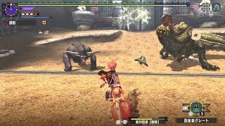 【MHXX】G★4　感動の生まれる瞬間　エリアルx操虫棍ソロ　Insect Glaive Solo Aerial　Moment of Inspiration 【Switch】