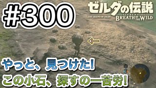 【#300】東ハテール地方のコログ取りこぼし回収の旅④ キタノ湾編[ゼルダの伝説 ブレスオブザワイルド]