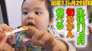 #237   ・・1歳を前に初めてのミカンを食べる！・・【生後11ヵ月】【赤ちゃん】